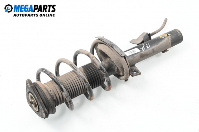 Macpherson shock absorber for Ford Focus II Estate (07.2004 - 09.2012), station wagon, position: front - right