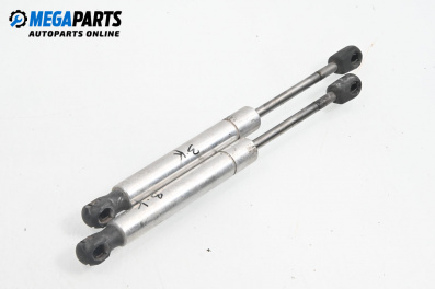 Tije telescopice, portbagaj for Volkswagen Passat IV Sedan B5.5 (10.2000 - 12.2005)