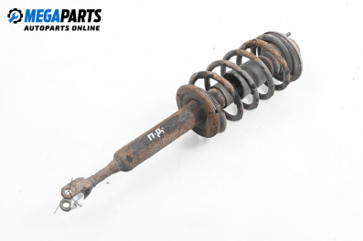 MacPherson-federbein for Volkswagen Passat IV Sedan B5.5 (10.2000 - 12.2005), sedan, position: rechts, vorderseite
