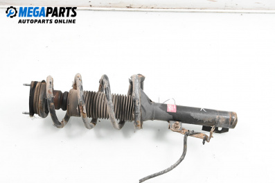 Amortizor McPherson for Ford Transit Box VI (04.2006 - 12.2014), lkw, position: stânga - fața