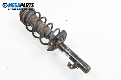 Macpherson shock absorber for Toyota Aygo Hatchback (02.2005 - 05.2014), truck, position: front - right