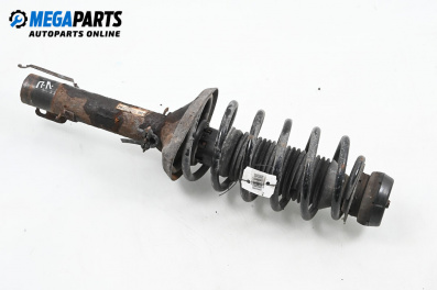 MacPherson-federbein for Volkswagen Golf IV Hatchback (08.1997 - 06.2005), hecktür, position: links, vorderseite
