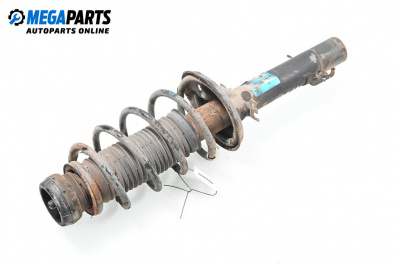 Macpherson shock absorber for Volkswagen Golf IV Hatchback (08.1997 - 06.2005), hatchback, position: front - right