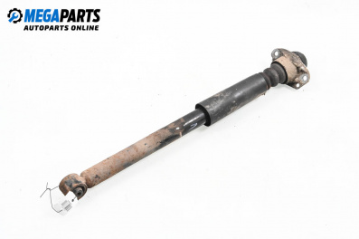 Shock absorber for Volkswagen New Beetle Hatchback (01.1998 - 09.2010), hatchback, position: rear - left