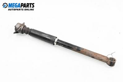 Amortizor for Volkswagen New Beetle Hatchback (01.1998 - 09.2010), hatchback, position: dreaptă - spate