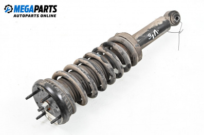 Macpherson shock absorber for Jaguar XF Sedan I (03.2008 - 04.2015), sedan, position: rear - left