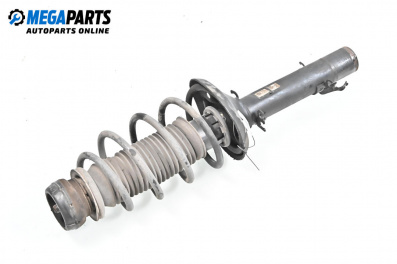 MacPherson-federbein for Volkswagen Golf IV Hatchback (08.1997 - 06.2005), hecktür, position: rechts, vorderseite