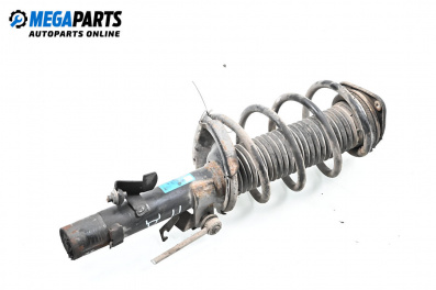 Macpherson shock absorber for Ford Focus II Estate (07.2004 - 09.2012), station wagon, position: front - right