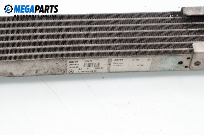 Ölradiator for Mercedes-Benz A-Class Hatchback W169 (09.2004 - 06.2012) A 180 CDI (169.007, 169.307), 109 hp, № A 169 500 02 00