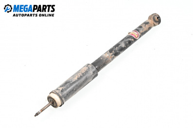 Amortizor for Lancia Lybra Station Wagon (07.1999 - 10.2005), combi, position: dreaptă - spate