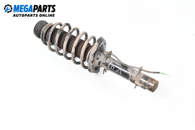 MacPherson-federbein for Volkswagen Golf IV Hatchback (08.1997 - 06.2005), hecktür, position: rechts, vorderseite