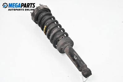Macpherson shock absorber for Audi Q7 SUV I (03.2006 - 01.2016), suv, position: rear - right