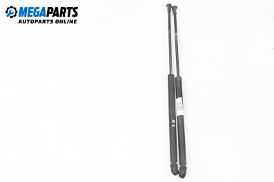 Stoßdämpfer heckklappe for Volkswagen Golf IV Hatchback (08.1997 - 06.2005)