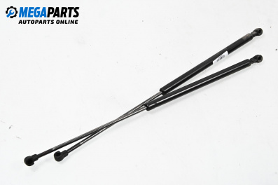Tije telescopice, portbagaj for Citroen ZX Hatchback (03.1991 - 07.1999)