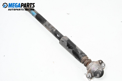 Shock absorber for Volkswagen New Beetle Hatchback (01.1998 - 09.2010), hatchback, position: rear - left, № 556268