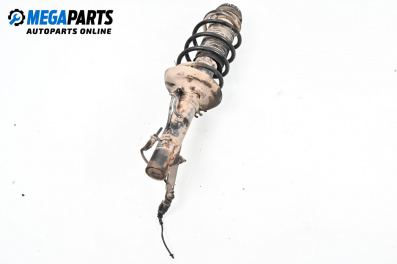 Macpherson shock absorber for Audi A3 Hatchback I (09.1996 - 05.2003), hatchback, position: front - left