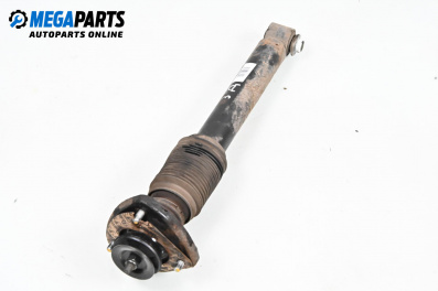 Amortizor for BMW X5 Series E53 (05.2000 - 12.2006), suv, position: dreaptă - spate