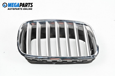 Grill for BMW X6 Series E71, E72 (05.2008 - 06.2014), suv, position: right