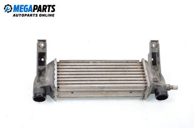 Intercooler for Ford Transit Connect (06.2002 - 12.2013) 1.8 Di, 75 hp