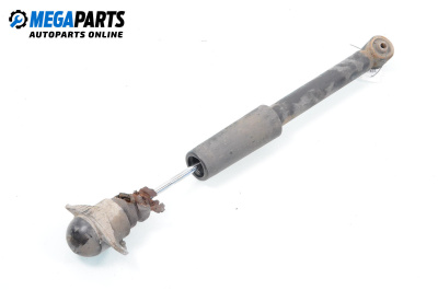 Shock absorber for Seat Ibiza III Hatchback (02.2002 - 11.2009), hatchback, position: rear - right