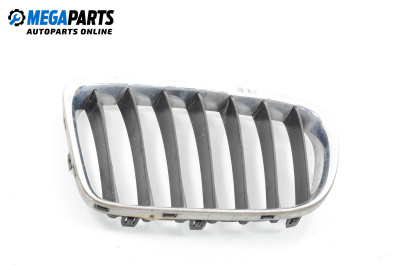 Grill for BMW X1 Series SUV E84 (03.2009 - 06.2015), suv, position: left