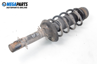 Macpherson shock absorber for Volkswagen Golf IV Variant (05.1999 - 06.2006), station wagon, position: front - right