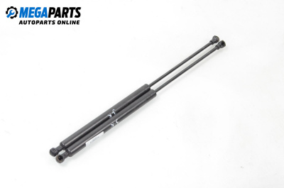 Stoßdämpfer heckklappe for Peugeot 206 Hatchback (08.1998 - 12.2012)