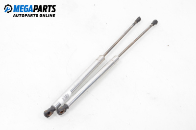 Tije telescopice, portbagaj for Volkswagen Passat IV Variant B5.5 (09.2000 - 08.2005)