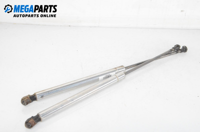 Tije telescopice, portbagaj for Volkswagen Passat IV Variant B5.5 (09.2000 - 08.2005)
