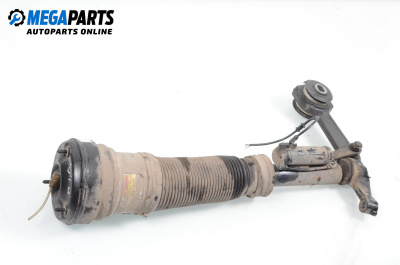 Luft-stoßdämpfer for Mercedes-Benz S-Class Sedan (W220) (10.1998 - 08.2005), sedan, position: rechts, vorderseite