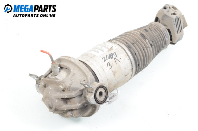Amortizor pneumatic for Volkswagen Touareg SUV I (10.2002 - 01.2013), suv, position: stânga - spate