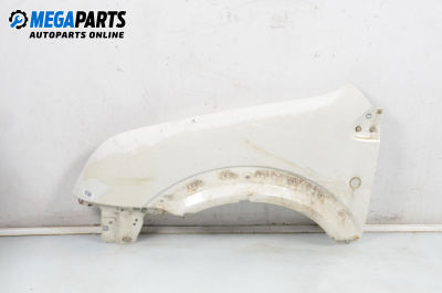 Fender for Ford Transit Connect (06.2002 - 12.2013), 3 doors, truck, position: front - left