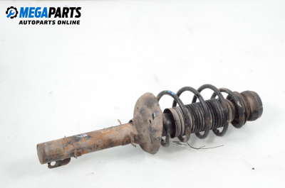 MacPherson-federbein for Volkswagen Golf IV Hatchback (08.1997 - 06.2005), hecktür, position: links, vorderseite
