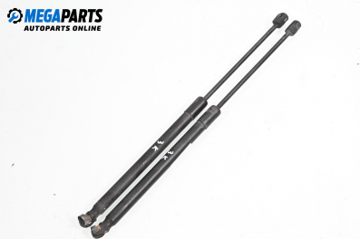 Tije telescopice, portbagaj for Audi A6 Avant C6 (03.2005 - 08.2011)