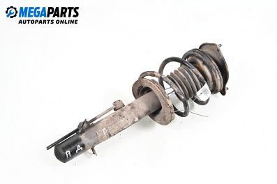 Amortizor McPherson for Mini Hatchback I (R50, R53) (06.2001 - 09.2006), hatchback, position: dreaptă - fața