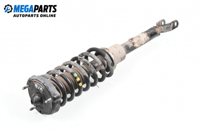 MacPherson-federbein for Mercedes-Benz E-Class Sedan (W211) (03.2002 - 03.2009), sedan, position: links, vorderseite