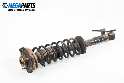 Macpherson shock absorber for Alfa Romeo 166 Sedan (09.1998 - 06.2007), sedan, position: rear - left