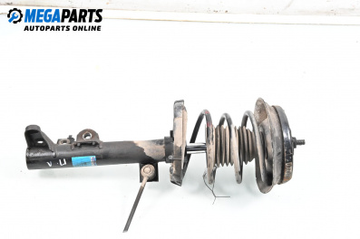 Macpherson shock absorber for Mercedes-Benz C-Class Estate (S203) (03.2001 - 08.2007), station wagon, position: front - left