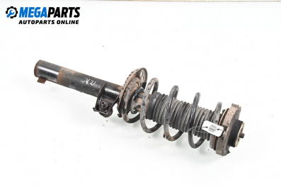 MacPherson-federbein for Audi A3 Sportback I (09.2004 - 03.2015), hecktür, position: links, vorderseite