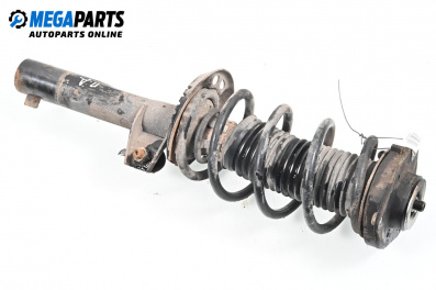 MacPherson-federbein for Audi A3 Sportback I (09.2004 - 03.2015), hecktür, position: rechts, vorderseite