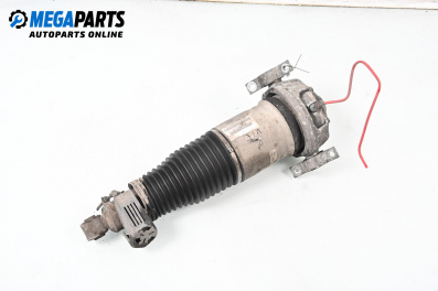 Air shock absorber for Porsche Cayenne SUV I (09.2002 - 09.2010), suv, position: rear - left