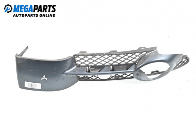 Gitter im stoßstange for Volkswagen Phaeton Sedan (04.2002 - 03.2016), sedan, position: vorderseite