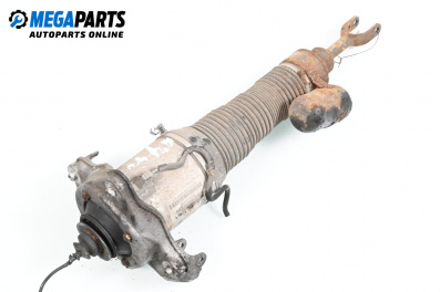 Amortizor pneumatic for Volkswagen Phaeton Sedan (04.2002 - 03.2016), sedan, position: dreaptă - fața