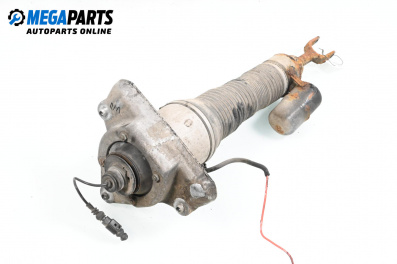 Amortizor pneumatic for Volkswagen Phaeton Sedan (04.2002 - 03.2016), sedan, position: stânga - fața
