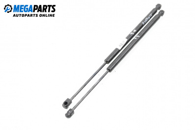 Tije telescopice, portbagaj for Renault Scenic II Minivan (06.2003 - 07.2010)