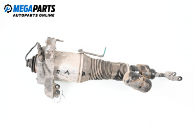 Amortizor pneumatic for Volkswagen Phaeton Sedan (04.2002 - 03.2016), sedan, position: dreaptă - fața