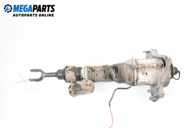 Amortizor pneumatic for Volkswagen Phaeton Sedan (04.2002 - 03.2016), sedan, position: stânga - fața