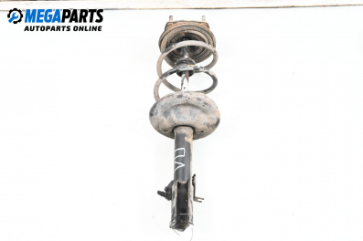 Macpherson shock absorber for Mitsubishi Colt Plus (08.2004 - ...), station wagon, position: front - left