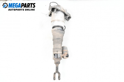 Amortizor pneumatic for Volkswagen Phaeton Sedan (04.2002 - 03.2016), sedan, position: dreaptă - fața