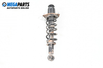 MacPherson-federbein for Toyota Corolla E12 Sedan (03.2001 - 03.2008), sedan, position: links, rückseite